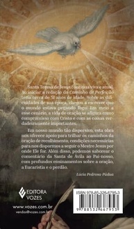 Caminho de Perfeição: Encontre a Paz na Oração e no Ensinamento de Santa Teresa D'Ávila - imagem 3