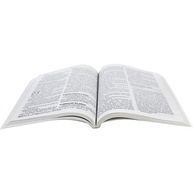Novo Testamento NAA Letra Gigante: Leitura Confortável e Clara - imagem 3