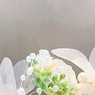 Tiara de Noiva: Pérolas e Cristais para Brilhar ✨ - imagem 1