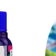 Tinta Vitro 150°: Pinte Vidro e Porcelana no Forno! - imagem 1
