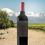 Picarón Cabernet Sauvignon: Vinho Tinto Premium 750ml - imagem 1