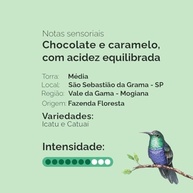 CAFE FAZENDA FLORESTA Café Fazenda Floresta Especial Clássico - Torrado E Moído 250G - imagem 2