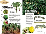 Guia Prático de Jardinagem: Aprenda com Edilson Giacon e Transforme Seu Jardim - imagem 5