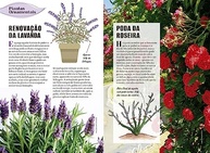 Guia Prático de Jardinagem: Aprenda com Edilson Giacon e Transforme Seu Jardim - imagem 4