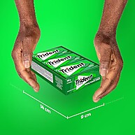 Trident Menta: Refrescância Sem Açúcar (21 un.) - imagem 5