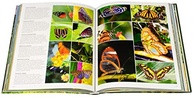 Costa Rica: Um Guia Ilustrado da Joia Tropical da América Central - imagem 3