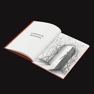 Animus Universum: Desvende sua Identidade em um Mundo Surreal - imagem 3