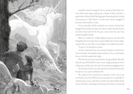 Impossible Creatures: A Aventura Mágica que Vai Conquistar Você - imagem 3