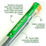 Fava de baunilha Vanilla Brasil - 02 un - imagem 2