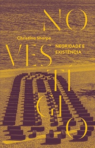 No Vestígio: Desvendando a Negritude e a Existência na História - imagem 1