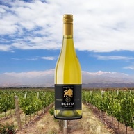 Vinho Branco Chileno Bestia Chardonnay 750ml - imagem 4