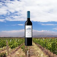 Vinho Bons Ventos Tinto: Sabor e Leveza 750ml - imagem 2