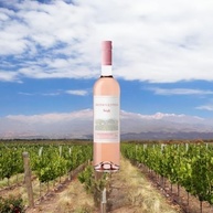 Vinho Rosé Quinta de Bons Ventos 750ml - imagem 2