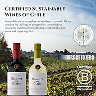 Casillero Del Diablo Malbec: Vinho Tinto Premium 750ml - imagem 1