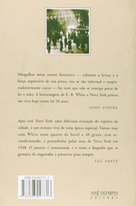Nova York: Um Clássico Atemporal de E. B. White | Descubra a Essência da Cidade - imagem 3