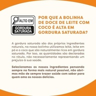 Bolinha Doce de Leite Zero LactoseFLORMEL Bites Zero Açúcar- Pouch 60 Gramas - imagem 3