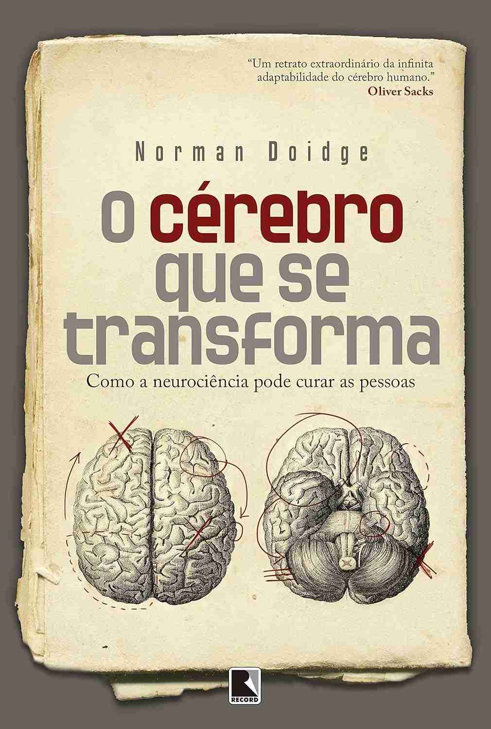 O Cérebro Que Se Transforma: Desvende a Neuroplasticidade e Transforme Vidas