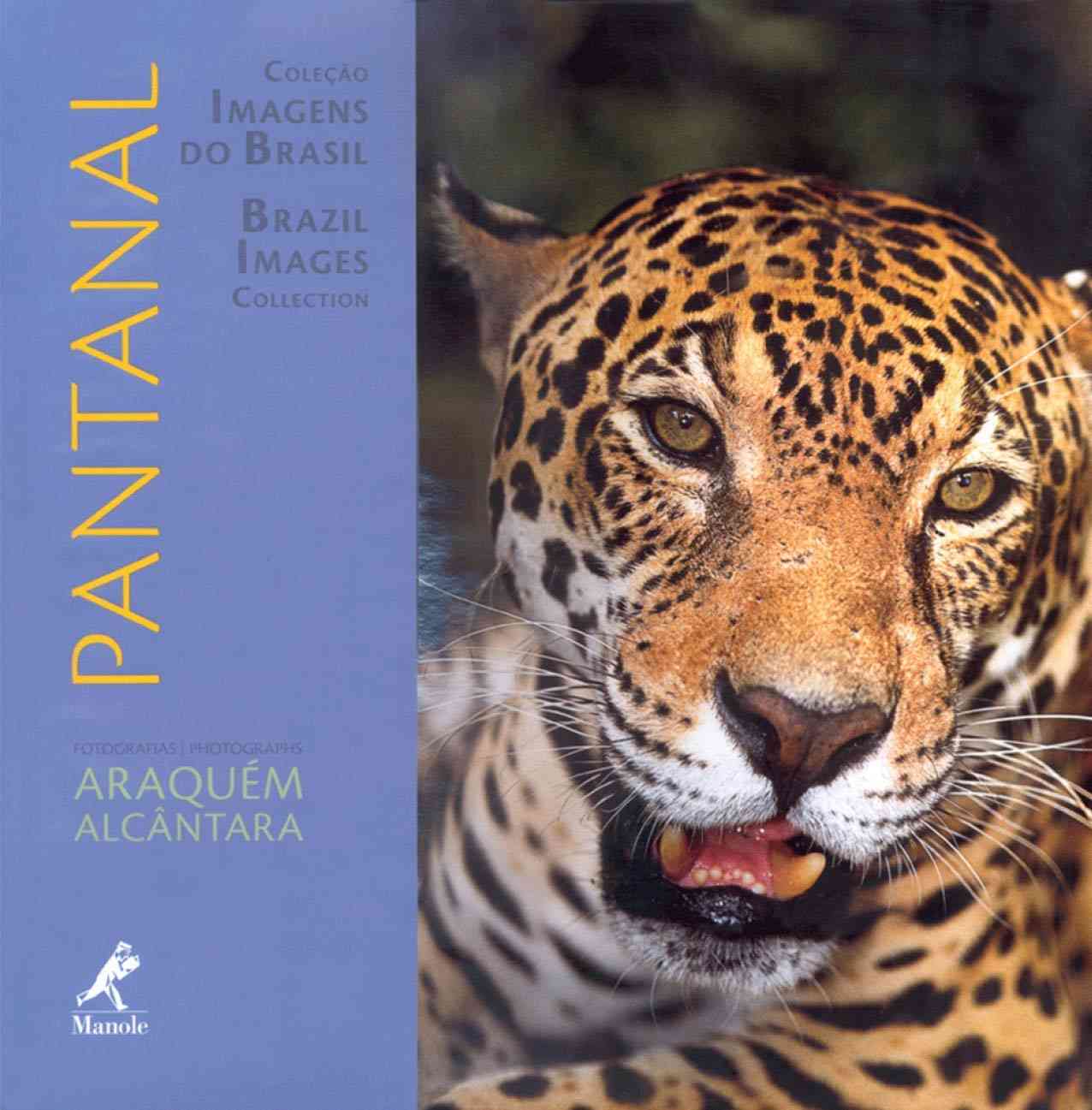 Pantanal: A Majestade da Maior Planície Alagável do Mundo em Imagens e Textos Inspiradores