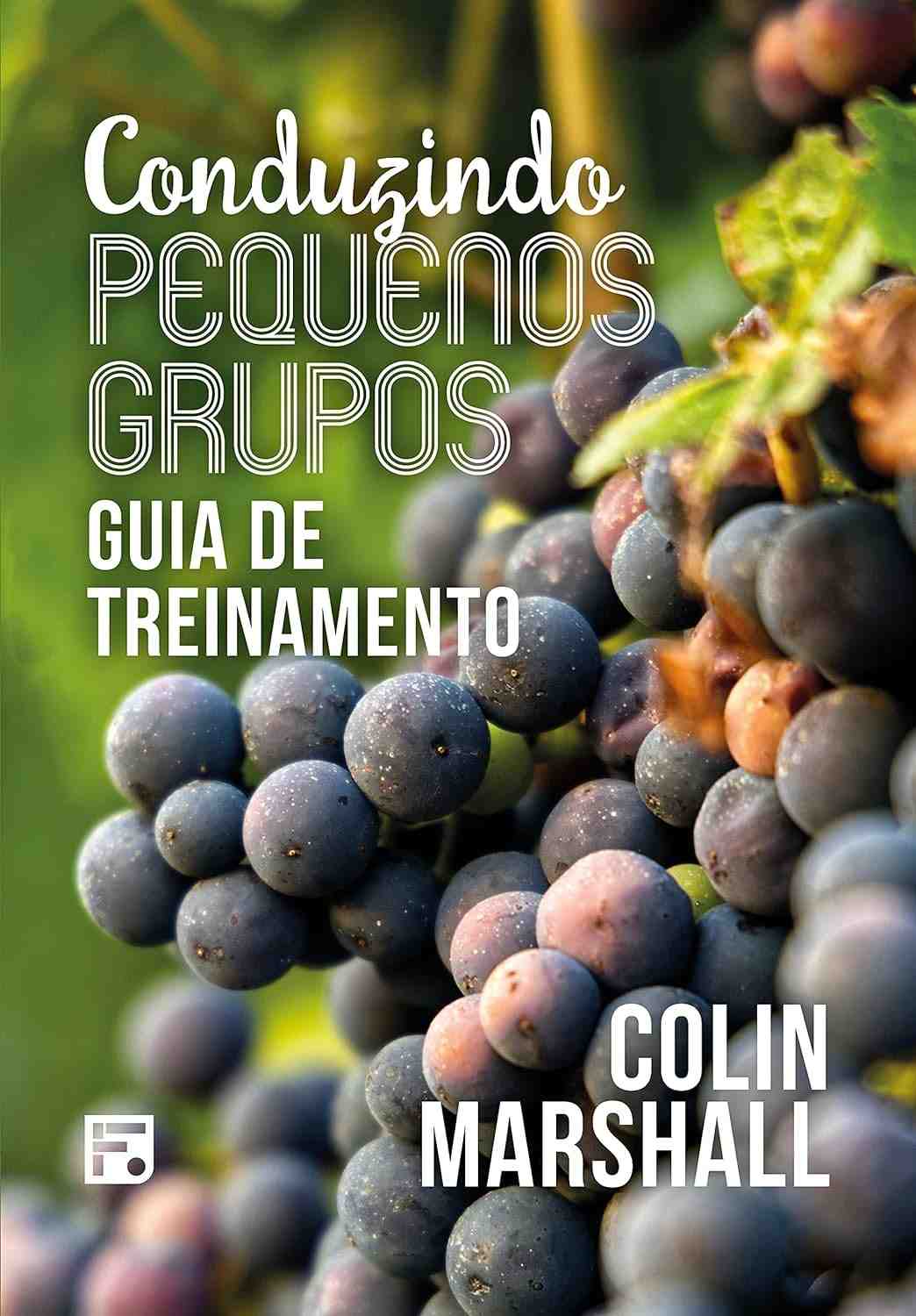 Grupos de Crescimento: Guia Completo para Liderança e Formação de Pequenos Grupos Cristãos