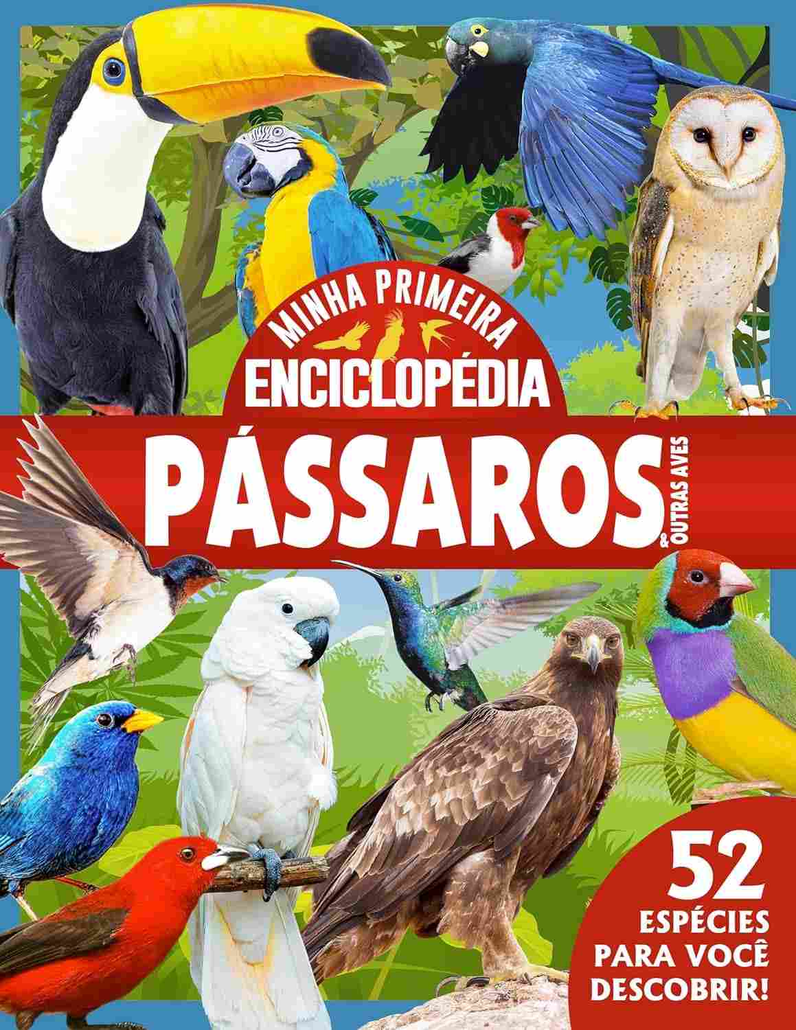 Minha Primeira Enciclopédia de Animais: Um Mundo de Pássaros para Pequenos Exploradores