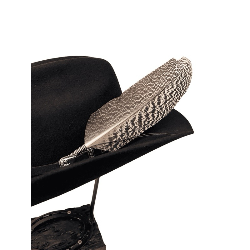 Pena para Chapéu Country Carijó Premium: Elegância Natural