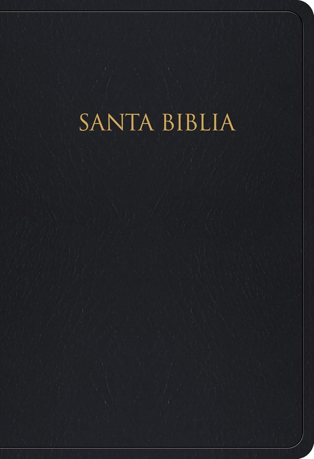 Santa Bíblia Reina-Valera 1960: Edição Presente e Prêmio em Couro Sintético Preto