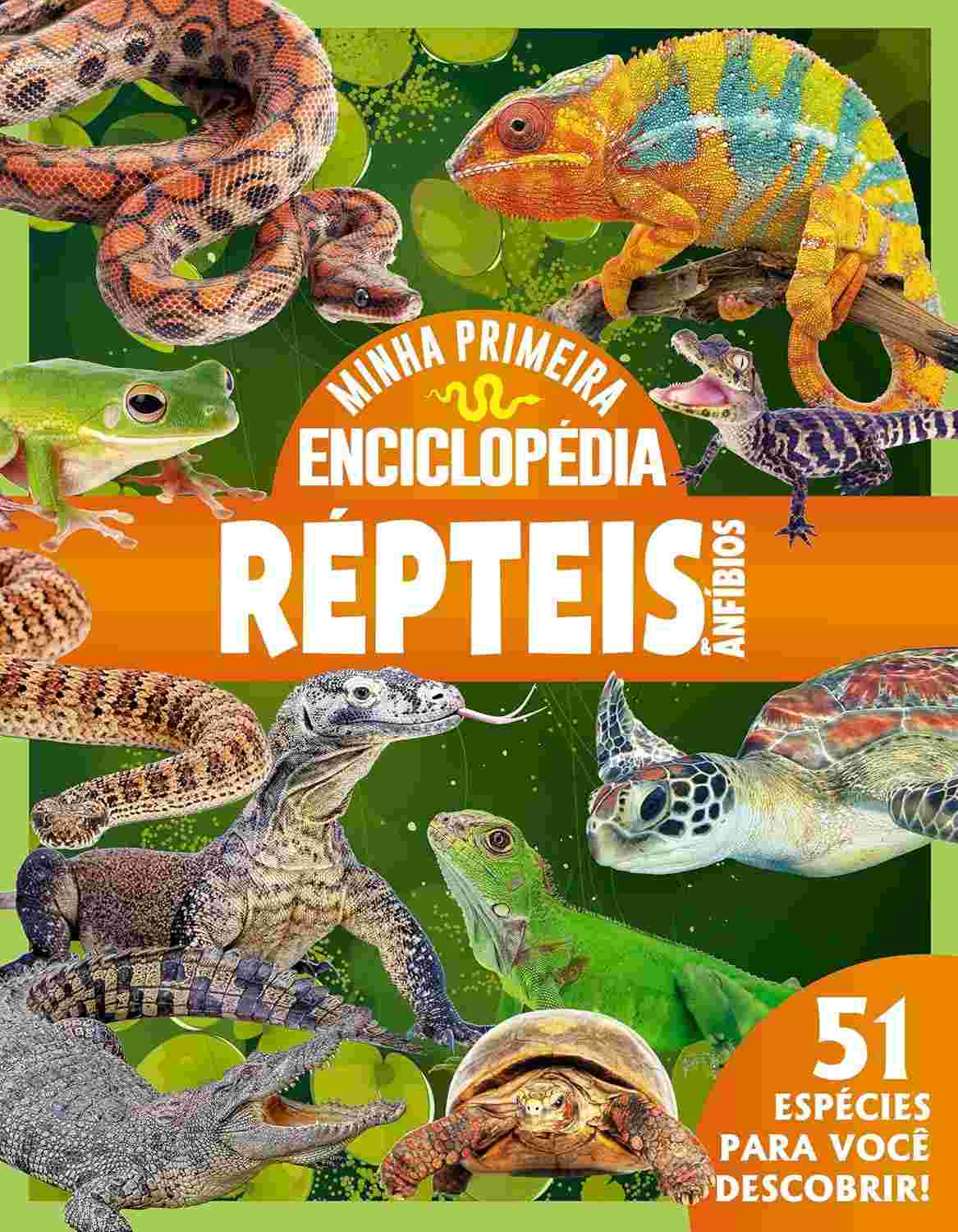 Minha Primeira Enciclopédia de Animais: Répteis e Anfíbios - Descubra um Mundo Fascinante!