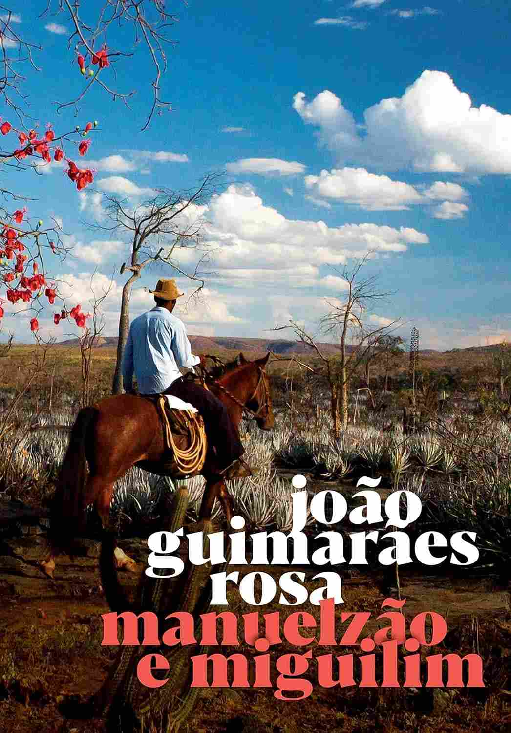 Manuelzão e Miguilim: A Obra-Prima de Guimarães Rosa