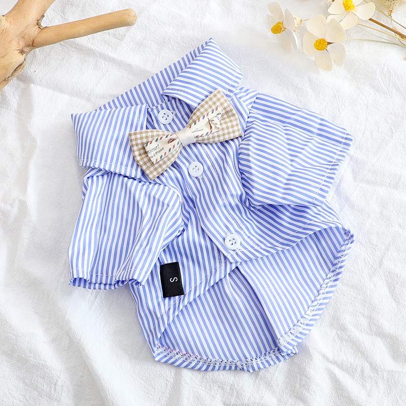 Roupa Pet Verão: Conforto e Estilo para Cães e Gatos!