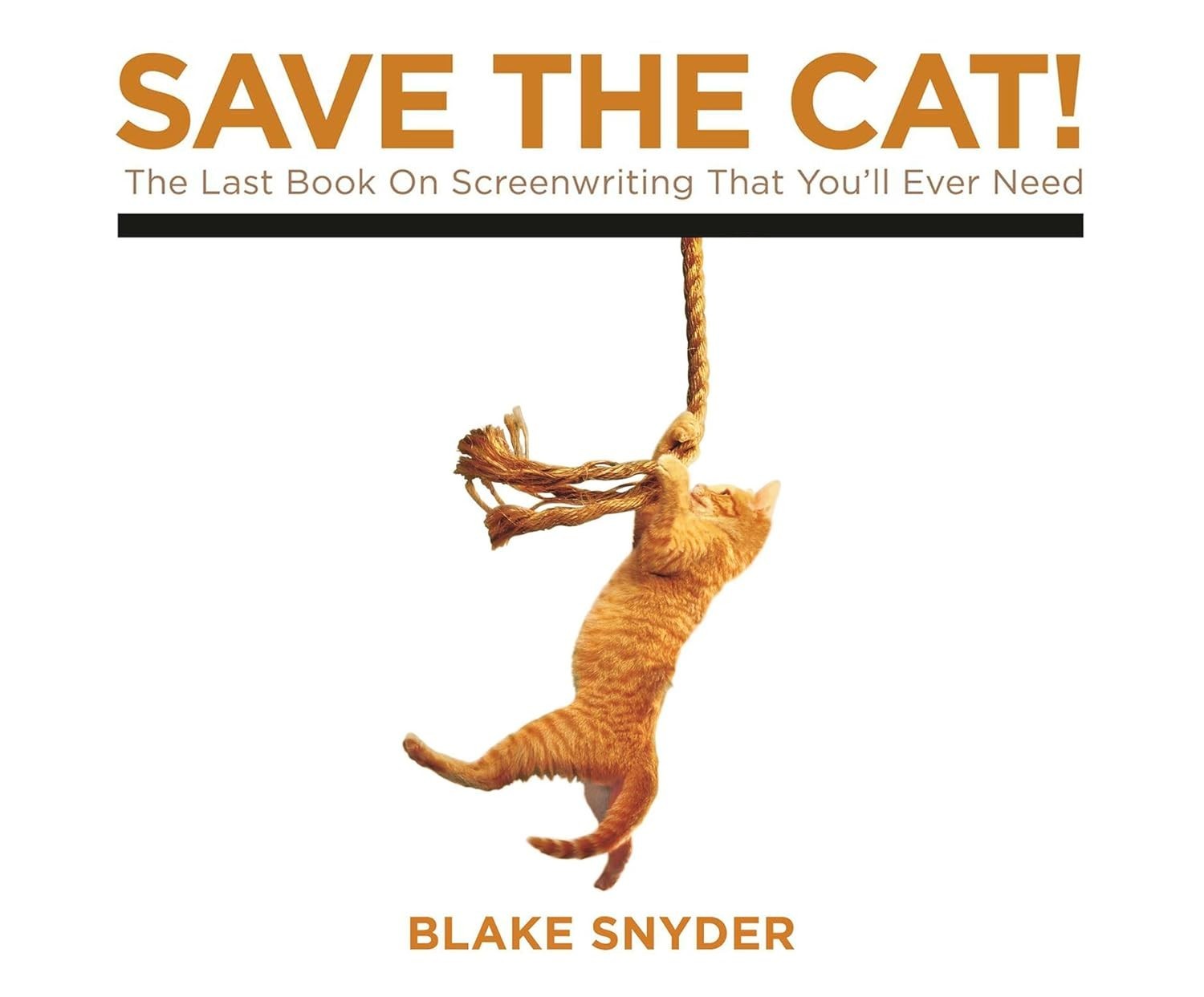 Save the Cat!: O Guia Essencial para Roteiristas de Sucesso