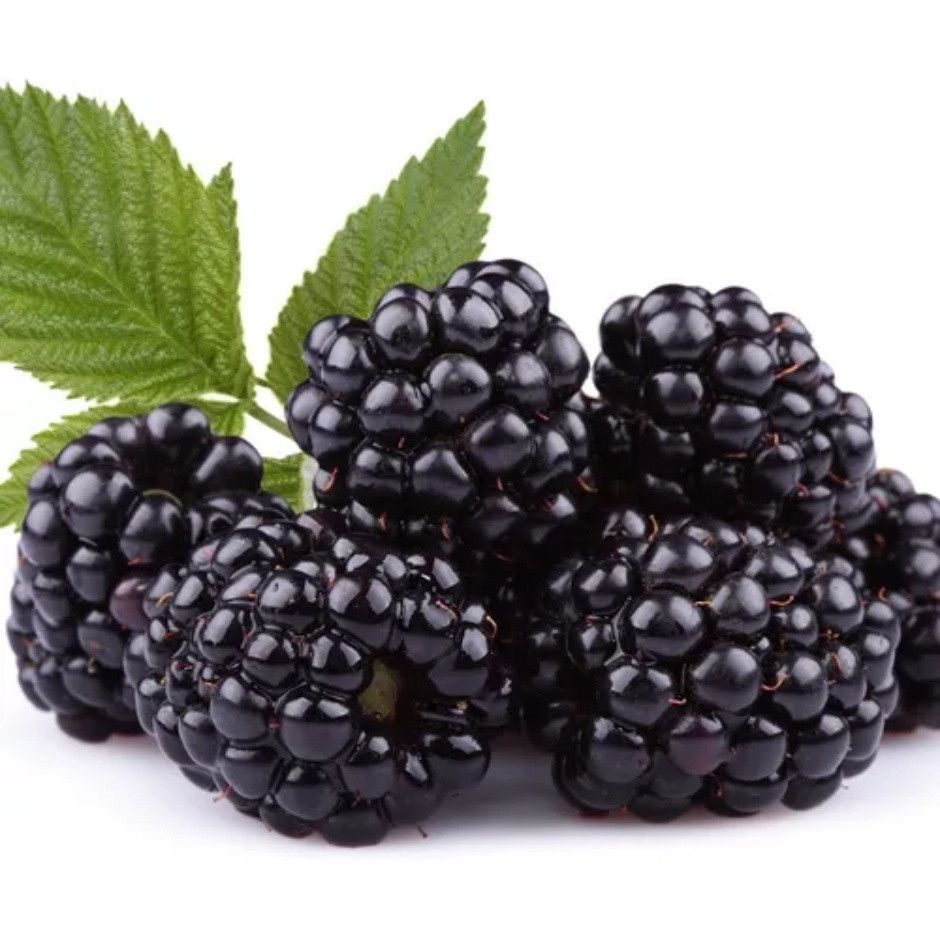 Sementes Amora Gigante: Frutos Maiores Já!