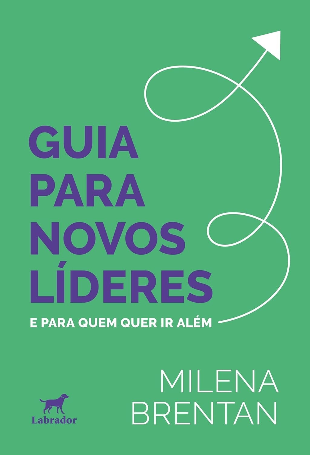 Guia para Novos Líderes: Lidere com Confiança e Transforme sua Equipe