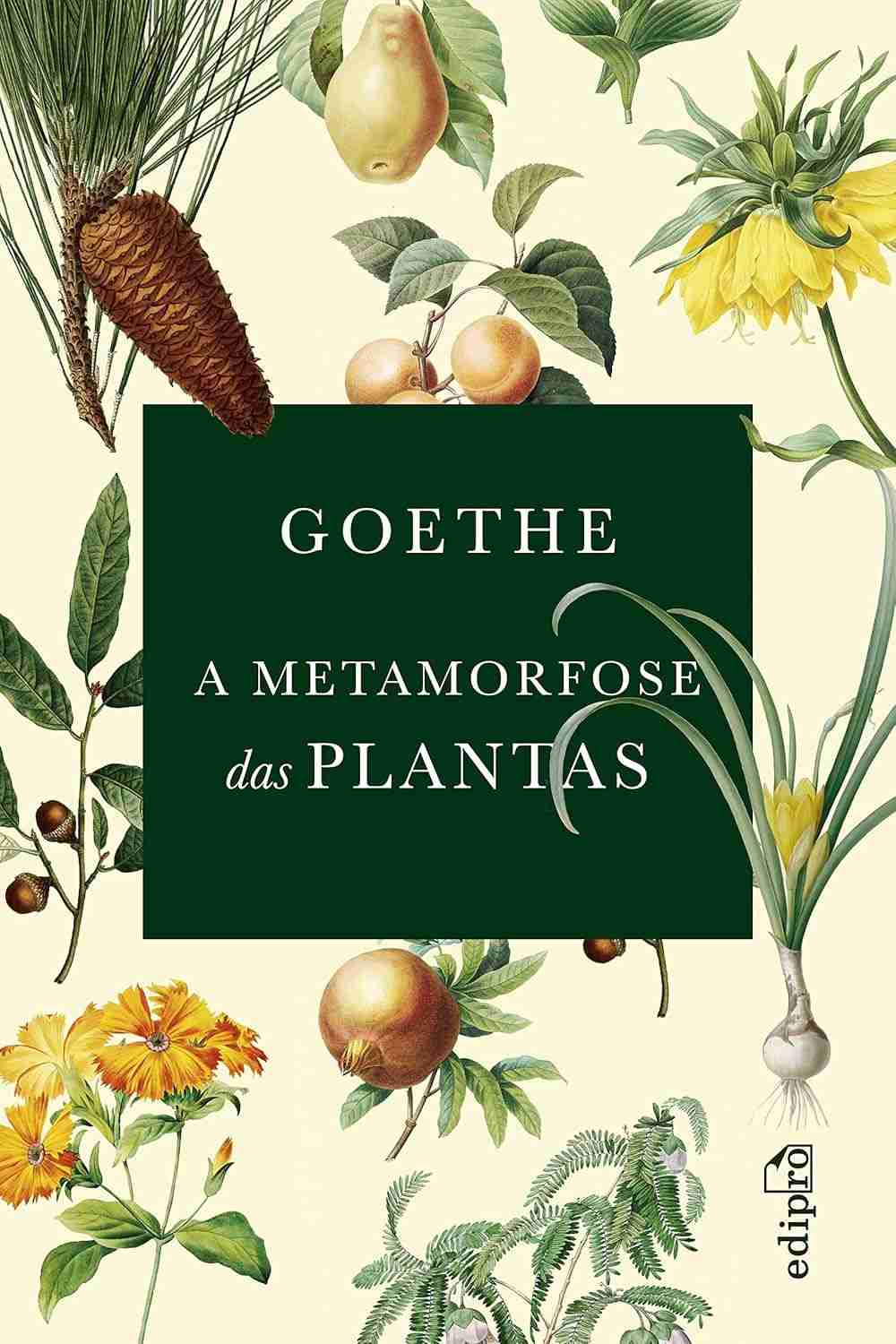 A Metamorfose das Plantas: A Teoria Revolucionária de Goethe