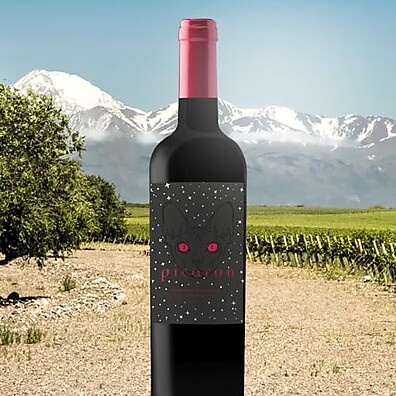 Picarón Cabernet Sauvignon: Vinho Tinto Premium 750ml