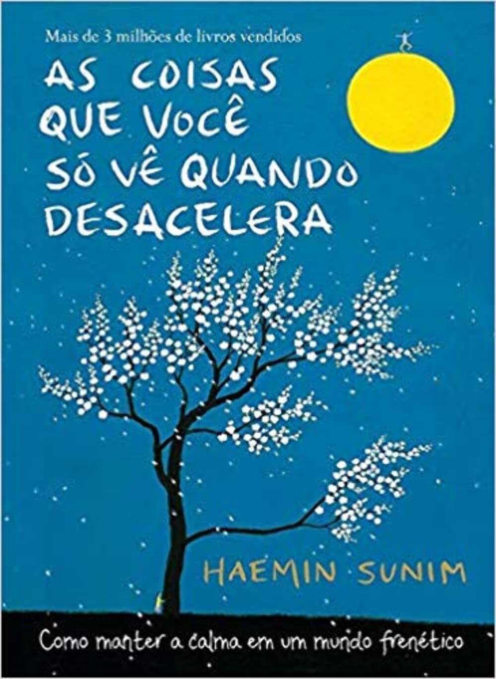 As Coisas Que Você Só Vê Quando Desacelera: Encontre a Calma em um Mundo Frenético