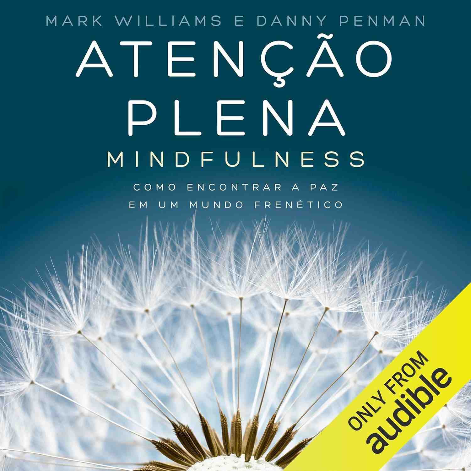 Mindfulness: Encontre a Paz Interior em um Mundo Frenético