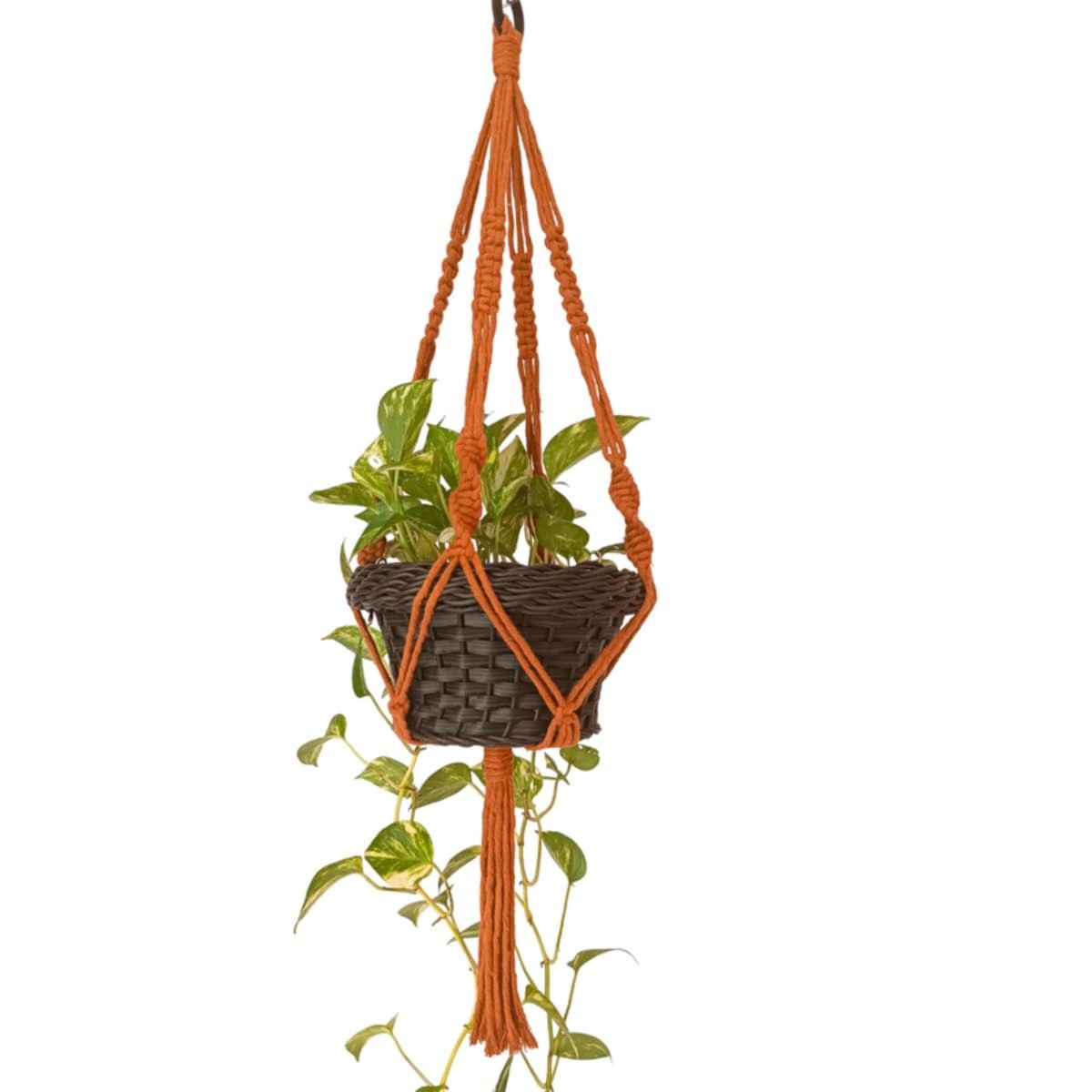 Suporte de Corda Macramê 70 cm para Vasos de Plantas - Decoração Elegante e Sustentável
