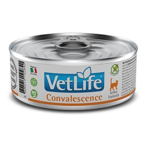 Vetlife Convalescence: Recuperação Rápida para Gatos