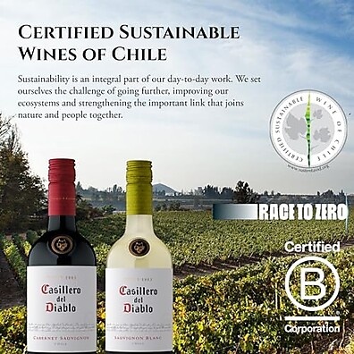 Casillero Del Diablo Malbec: Vinho Tinto Premium 750ml